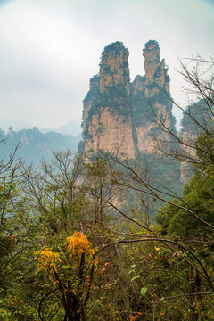 张家界武陵源天子山