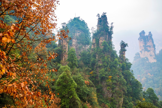 张家界武陵源天子山