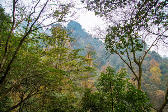 张家界武陵源天子山