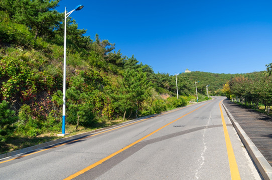 大连滨海路道路背景无人