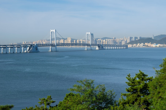 大连星海湾风光