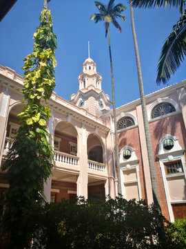 香港大学