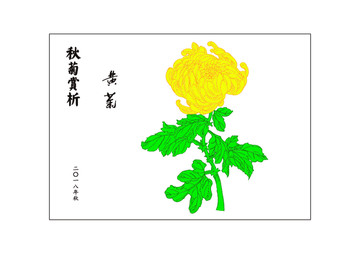 黃菊
