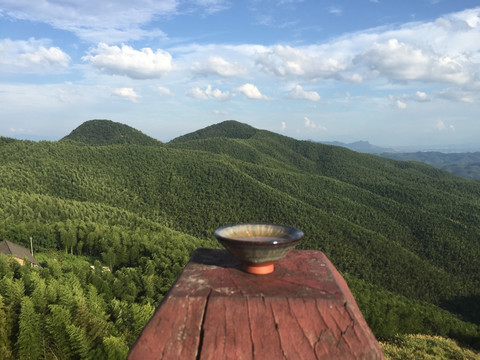 蔡伦竹海品茶文化