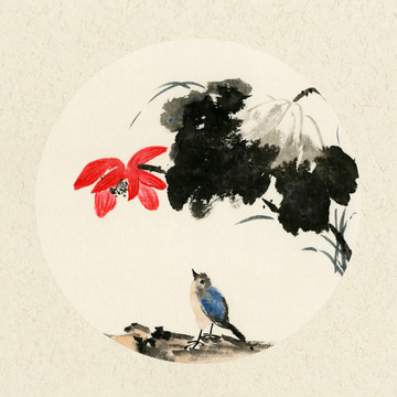 荷花小鳥