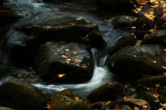 溪流之秋