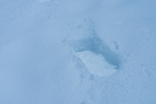 雪地脚印