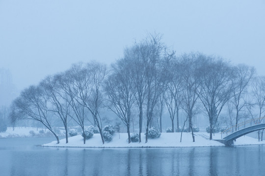 大雪河畔