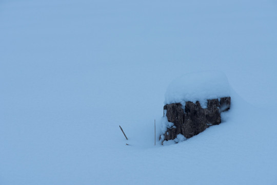 雪地木桩