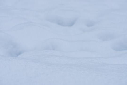 雪地