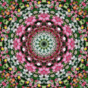 對(duì)稱鮮花拼花圖案