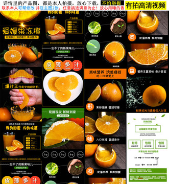 愛媛詳情
