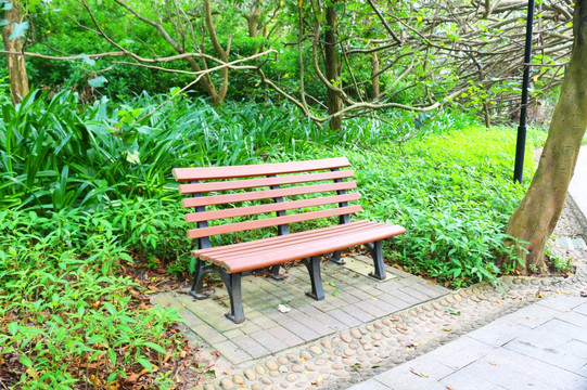 公园休息区木长椅