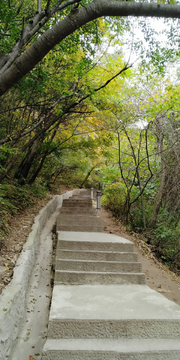 华山小路