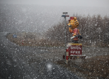 森林公路大雪