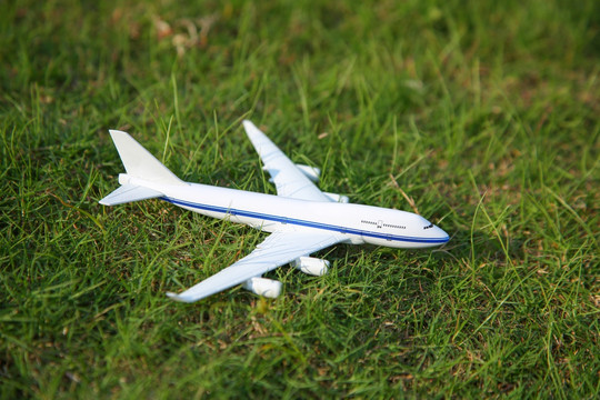 在草地上的飞机模型