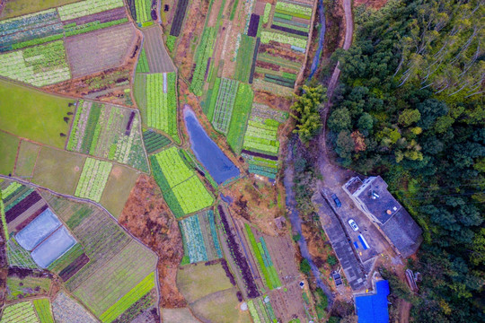 美丽乡村