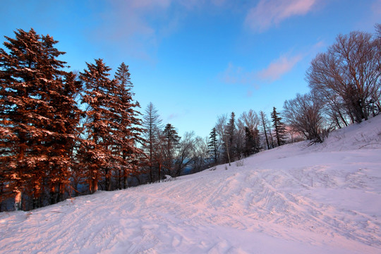 东北雪乡