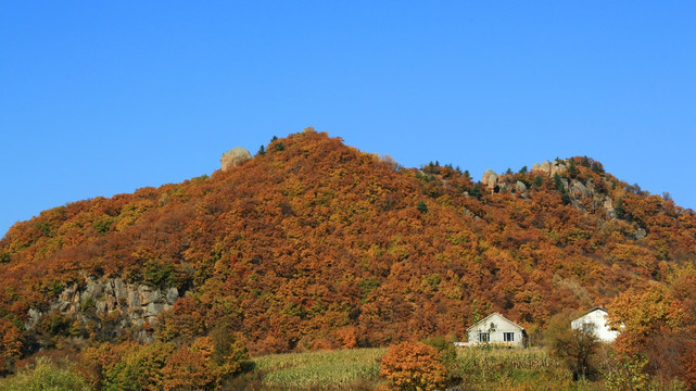 林区五花山