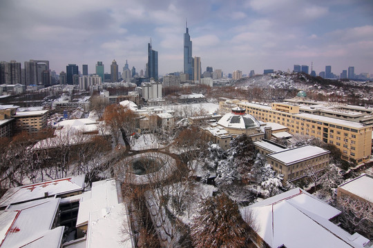 南京东南大学暴风雪城市风光