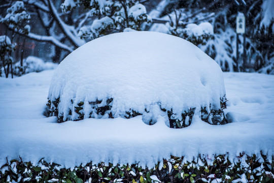 雪堆