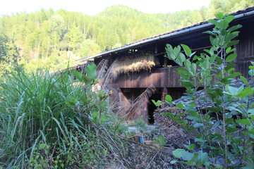 山村