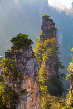 张家界武陵源天子山