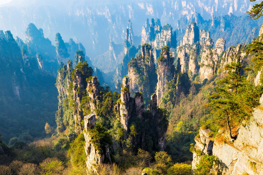 张家界武陵源天子山