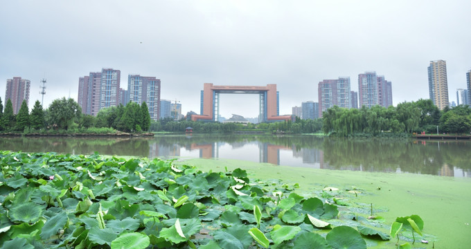 城市建设荷花池