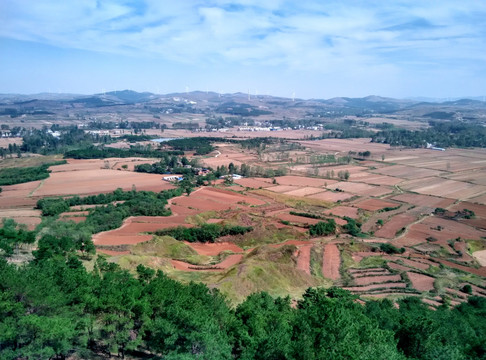 田野