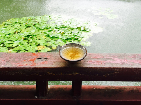 苏州园林雨中品茶