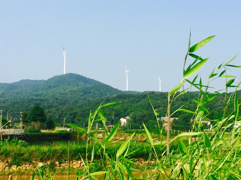 希望的田野