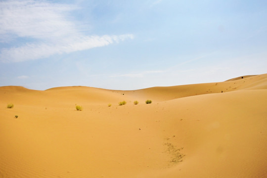 沙漠沙丘地貌