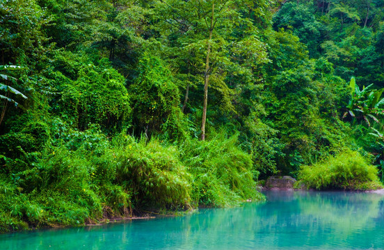 高山森林湖泊