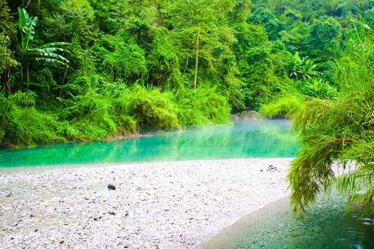 高山森林湖泊