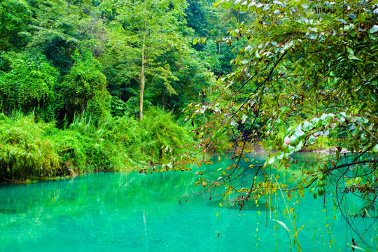 高山森林湖泊