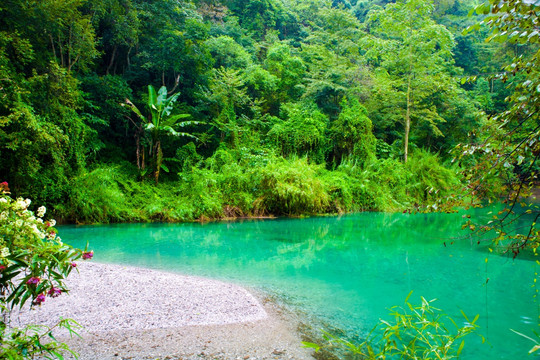 高山森林湖泊