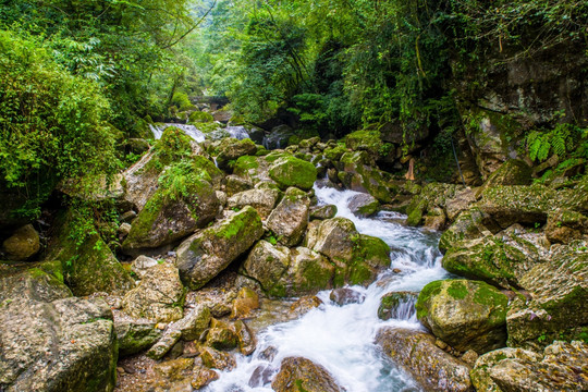 青城山溪流