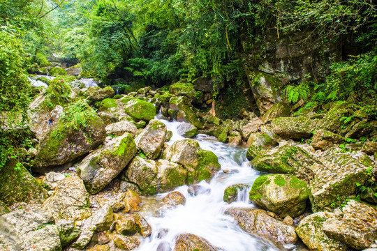 青城山溪流