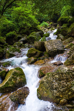 青城山溪流