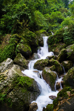 青城山溪流