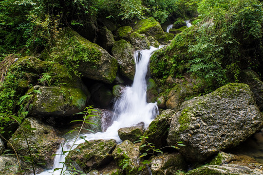 青城山溪流