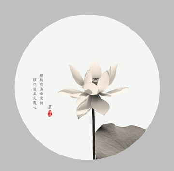 荷花裝飾圖
