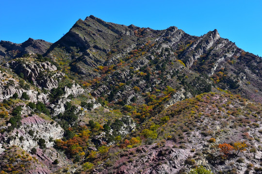 高山风景