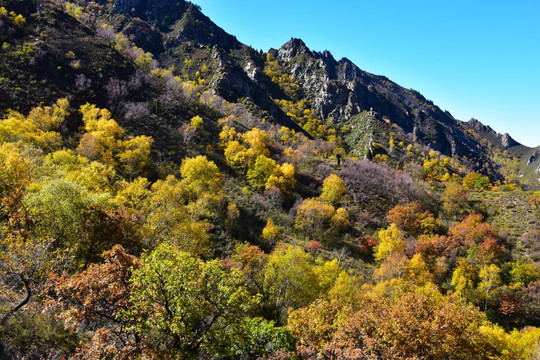 大山风景