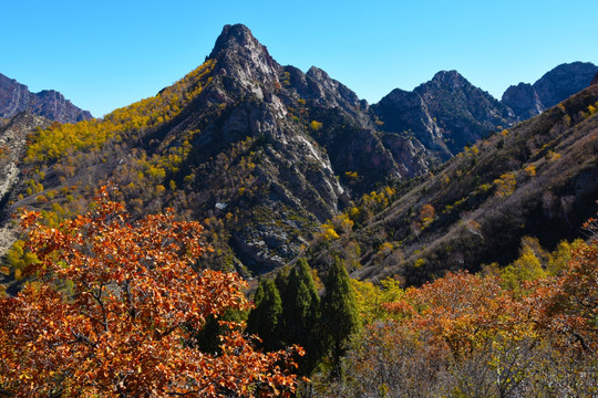 高山秋色