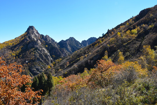 高山秋色