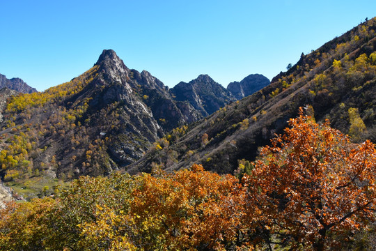 大山秋色