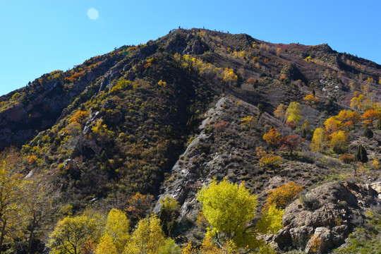 高山秋色