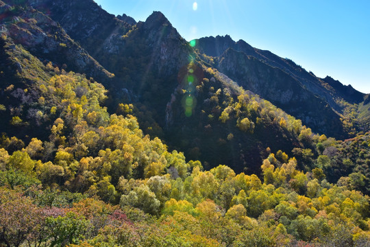 大山里的秋色